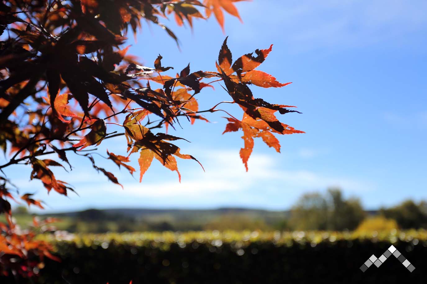 ENTRE EAU ET ROCHE-37